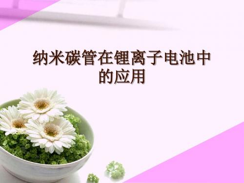 纳米碳管在锂离子电池中的应用