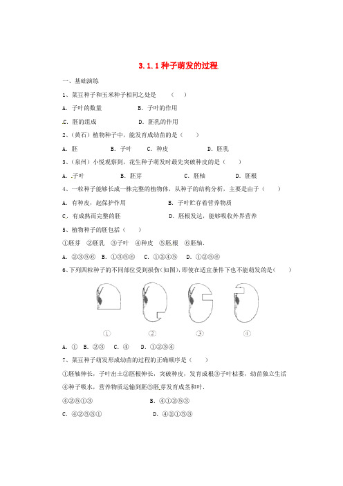 八年级生物上册 3.1.1 种子萌发的过程同步练习 (新版)冀教版