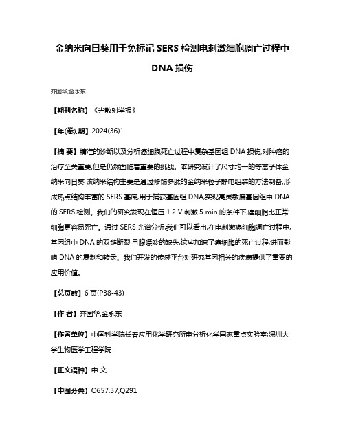 金纳米向日葵用于免标记SERS检测电刺激细胞凋亡过程中DNA损伤