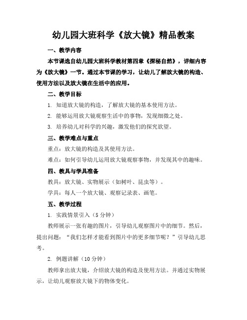 幼儿园大班科学《放大镜》精品教案