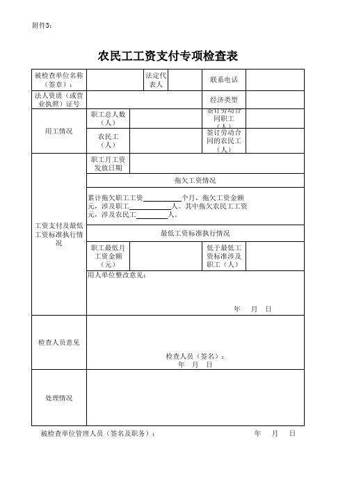 农民工工资支付专项检查表