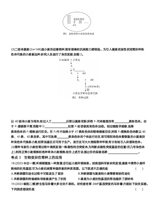 2024北京备战新方案生物_141-160