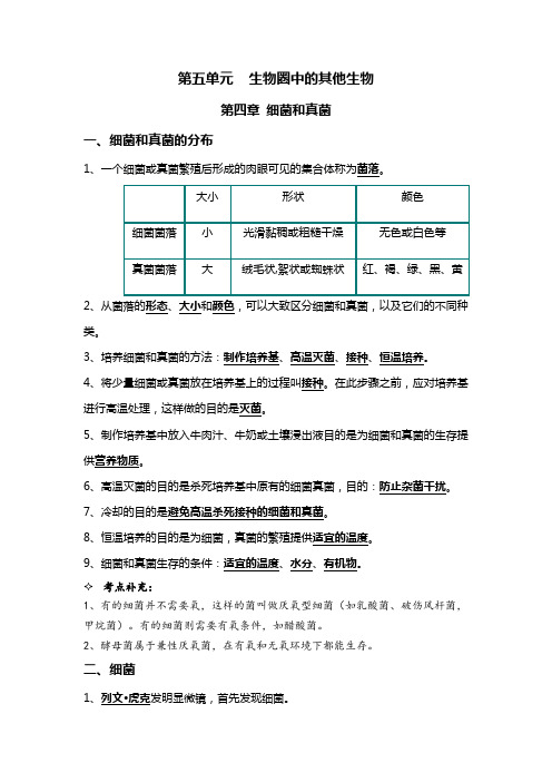 细菌、真菌和病毒+生物的多样性及其保护-2023年中考生物必背知识手册