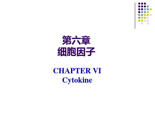 细胞因子、CD分子和黏附分子