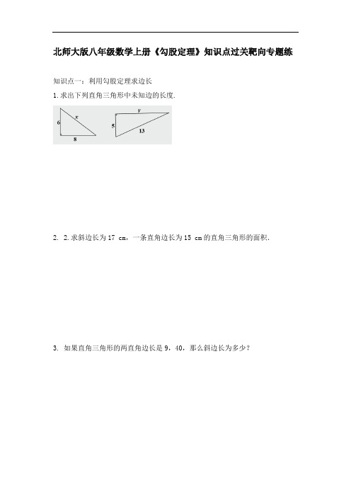 北师大版八年级数学上册《勾股定理》知识点过关靶向专题练