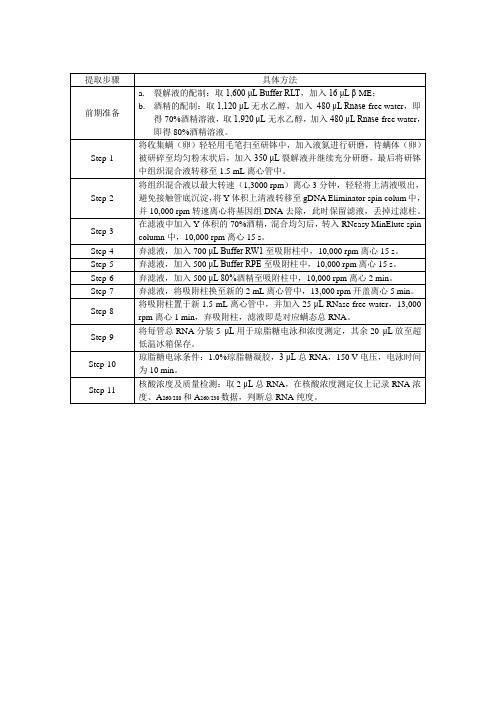 Micro 试剂盒RNA提取步骤 Qiagen