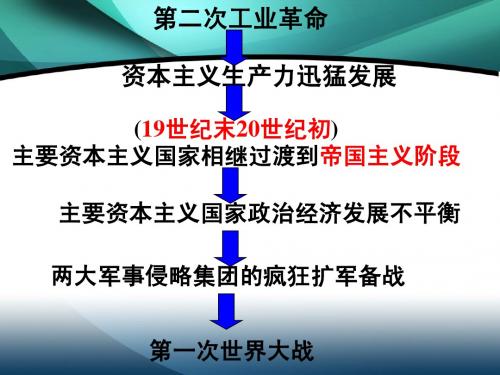 6.2第一次世界大战 课件3(历史岳麓版九年级上册)