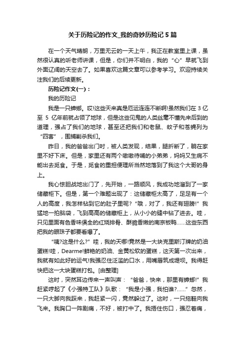 关于历险记的作文_我的奇妙历险记5篇