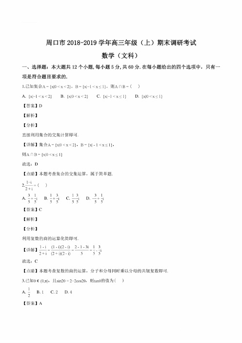 河南省周口市2019届高三上学期期末调研考试数学文科试题（解析版）