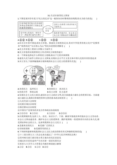 2020-2021学年人教部编版九年级道德与法治上册3.1生活在新型民主国家 同步练习