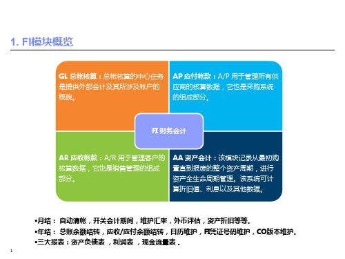 SAP-FI财务会计模块资料