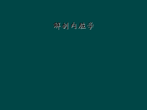 解剖内脏学
