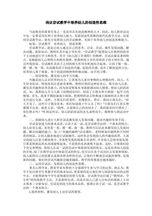 浅议尝试教学中培养幼儿的创造性思维