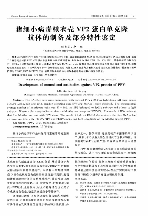 猪细小病毒核衣壳VP2蛋白单克隆抗体的制备及部分特性鉴定