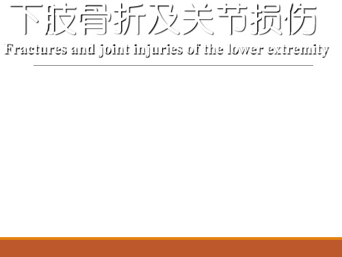 下肢骨折及关节损伤PPT课件