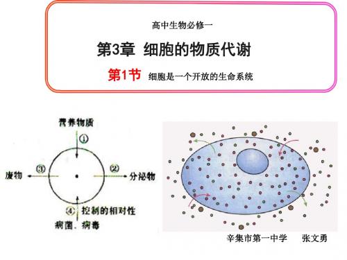 一细胞是一个开放的生命系统