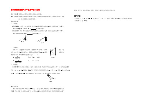 船有触礁的危险吗九年级数学练习方案 北师大版 试题