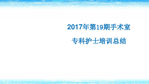 专科护士培训总结  ppt课件