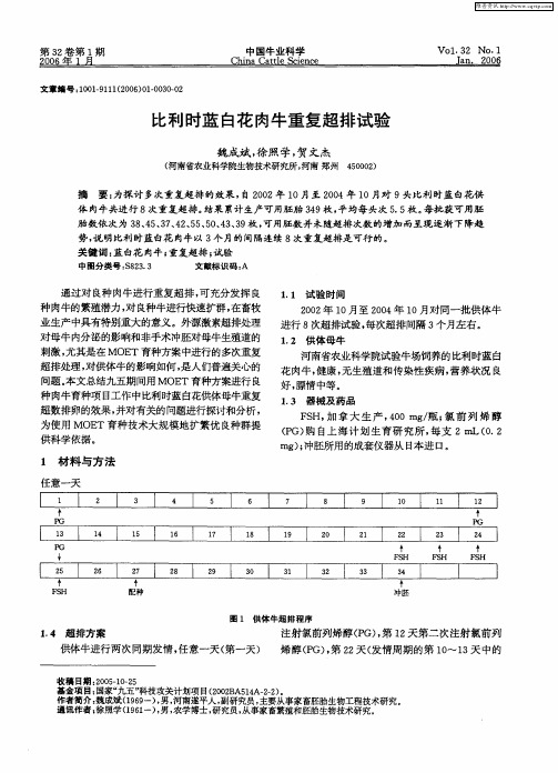 比利时蓝白花肉牛重复超排试验