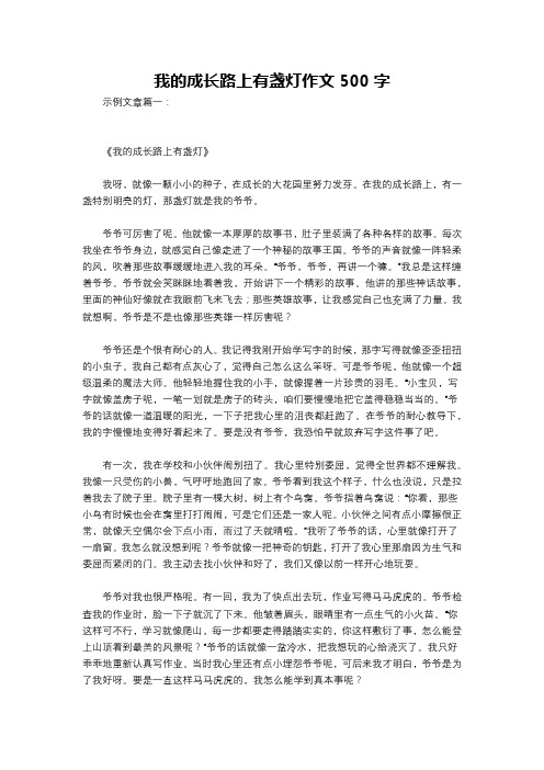 我的成长路上有盏灯作文500字