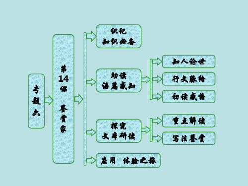 第14课 鉴赏家课件全面版