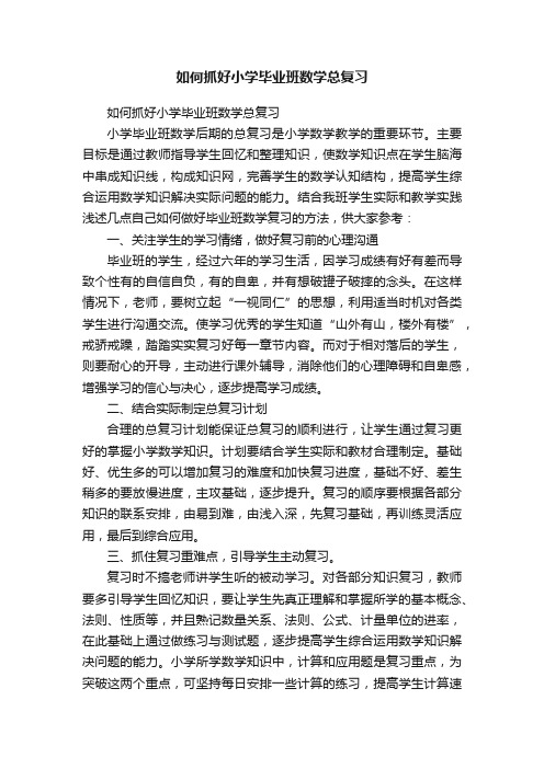 如何抓好小学毕业班数学总复习