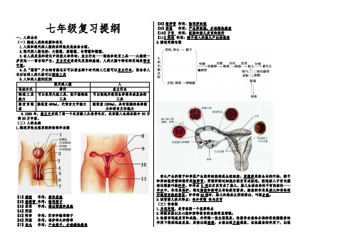 七年级生物复习提纲