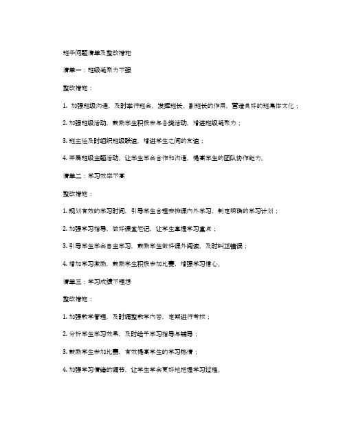 班子问题清单及整改措施