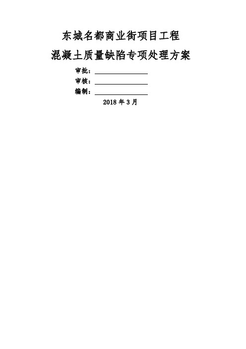 混凝土质量缺陷专项处理方案