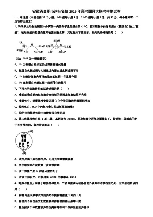 安徽省合肥市达标名校2019年高考四月大联考生物试卷含解析