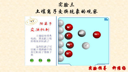 实验三 土壤离子交换现象观察ppt课件