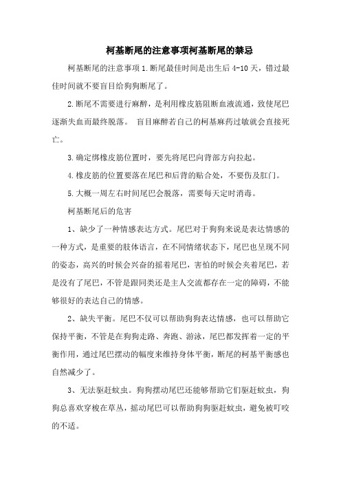 柯基断尾的注意事项柯基断尾的禁忌