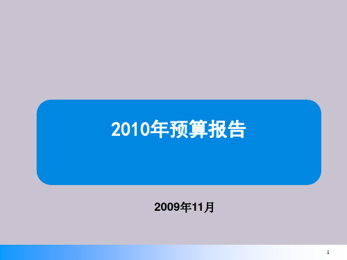 人工成本预算报告