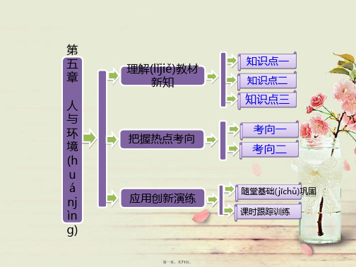 高中生物 第五章 人与环境配套课件 苏教版必修3