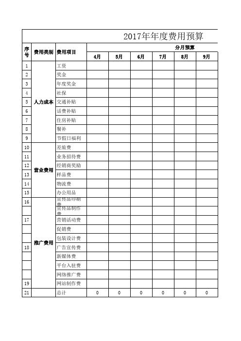 2017年年度费用预算表