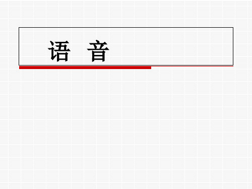 语  音ppt课件