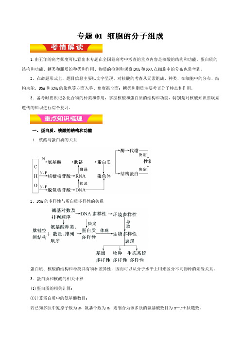 细胞的分子组成(教学案)-2019年高考生物二轮复习---精校精品Word解析版