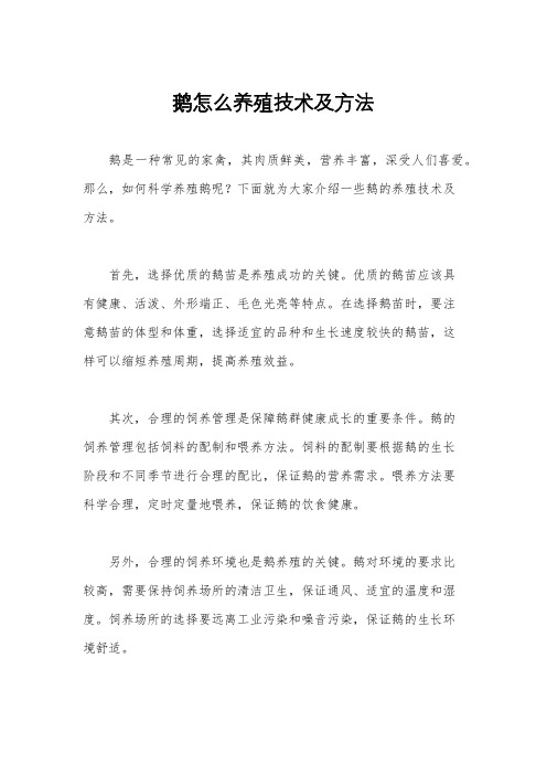 鹅怎么养殖技术及方法