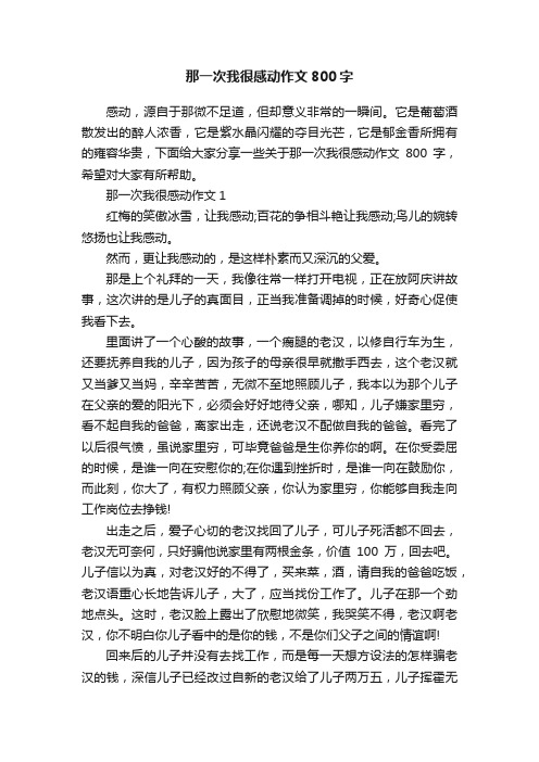 那一次我很感动作文800字