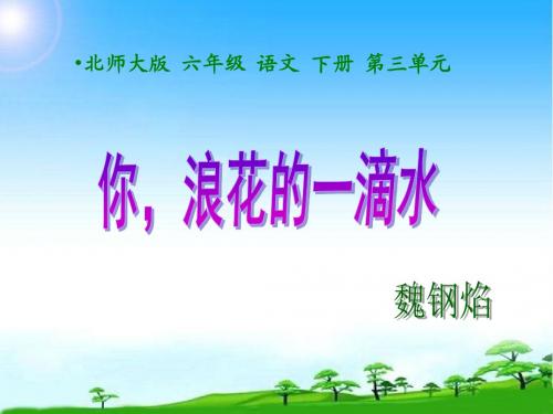 2018-2019学年语文六年级下册《你,浪花的一滴水》课件2