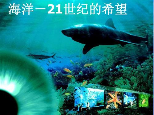 海洋__21世纪的希望_ppt(课件)