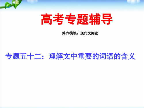 高考语文专题复习课件：理解文中重要的词语的含义讲稿