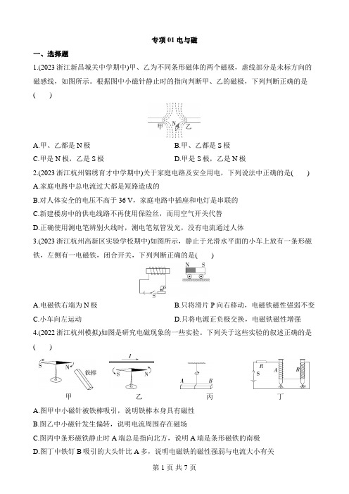 【浙教】八下科学专项练习 专项01 电与磁