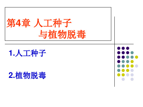 人工种子与脱毒资料讲解