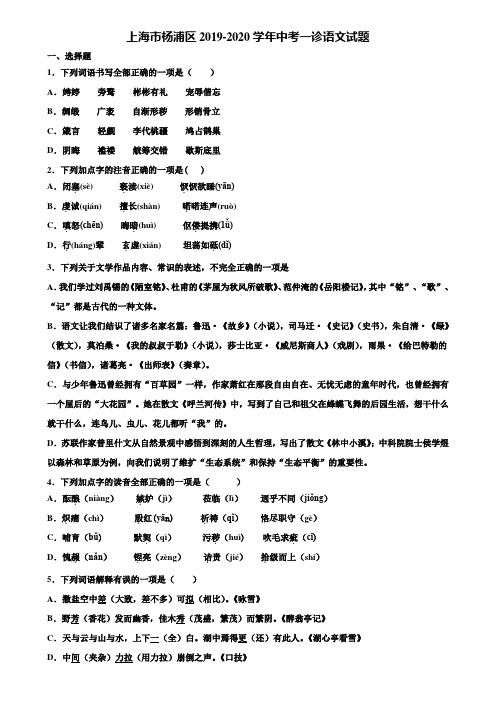 上海市杨浦区2019-2020学年中考一诊语文试题含解析