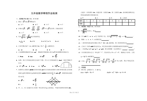 九年级数学寒假作业检测