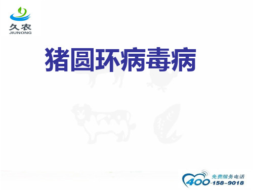圆环病毒