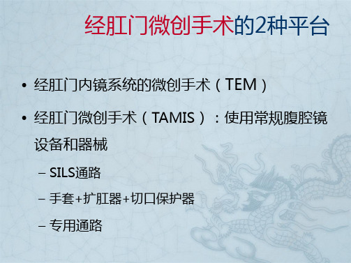 经肛门微创手术(TME)