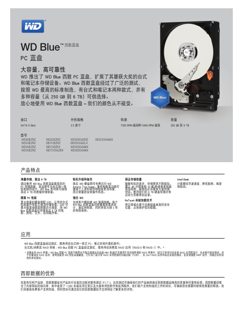 WD Blue 西数蓝盘