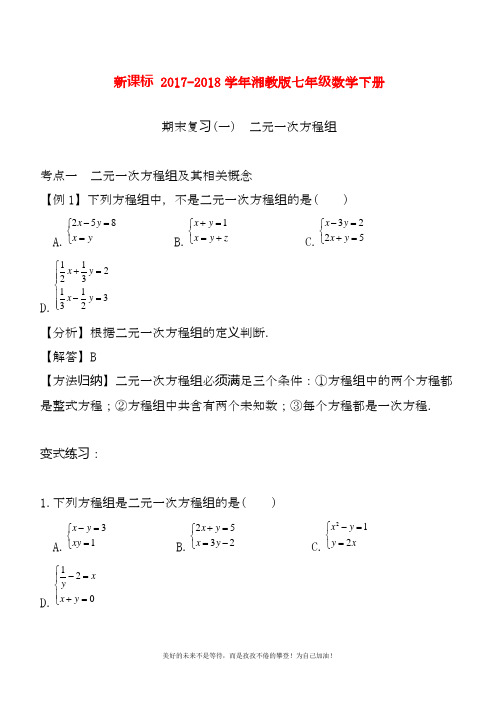 2020—2021年湘教版七年级数学下册期末专题复习《二元一次方程组》及答案解析.docx